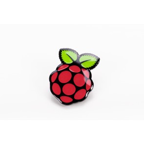 Raspberry Pi Pin